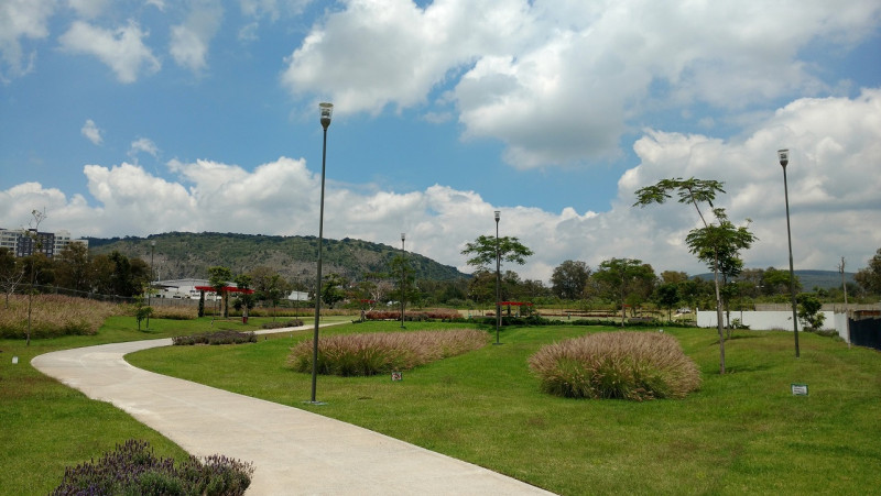 Paseos del Parque