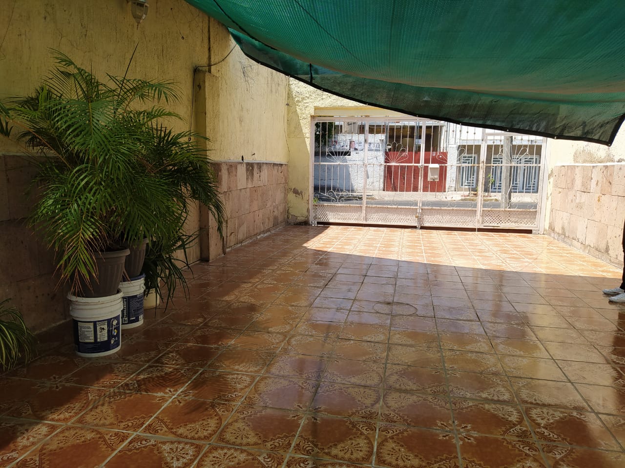 Sector Libertad Guadalajara Inmuebles En Guadalajara Mitula Casas