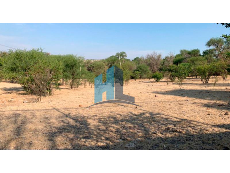 Terreno en venta en Calle,Hidalgo, Yahualica de gonzalez gallo