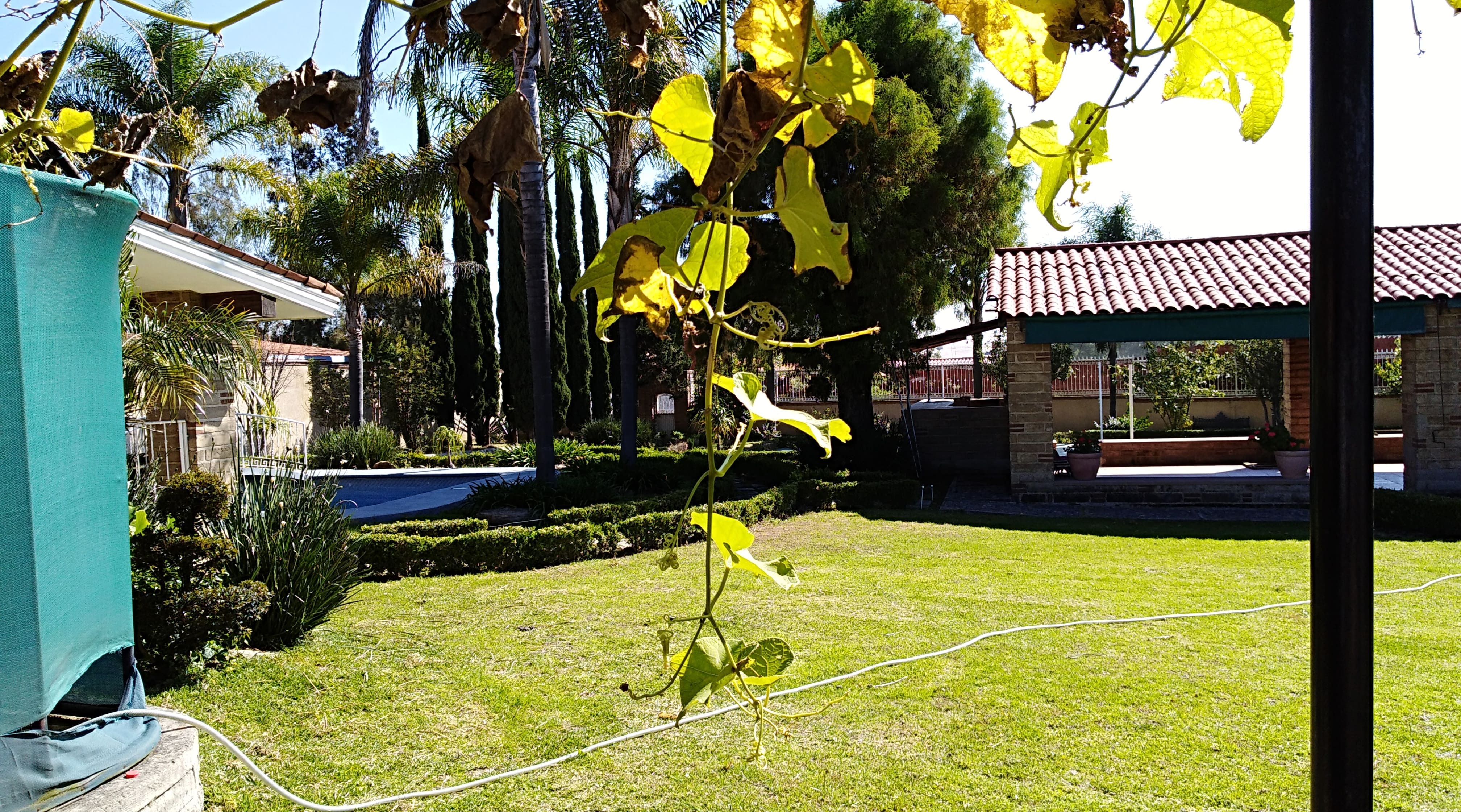 Hacienda en venta en Prol.,Mariano,Otero Kilómetro 5.5, Bosques de la