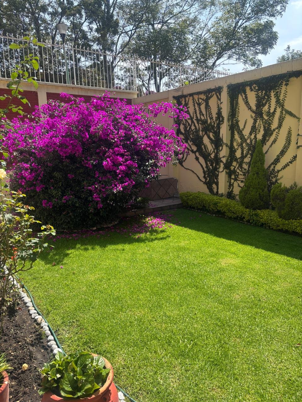 Casa en venta en Fuentes del Pedregal · foto 4