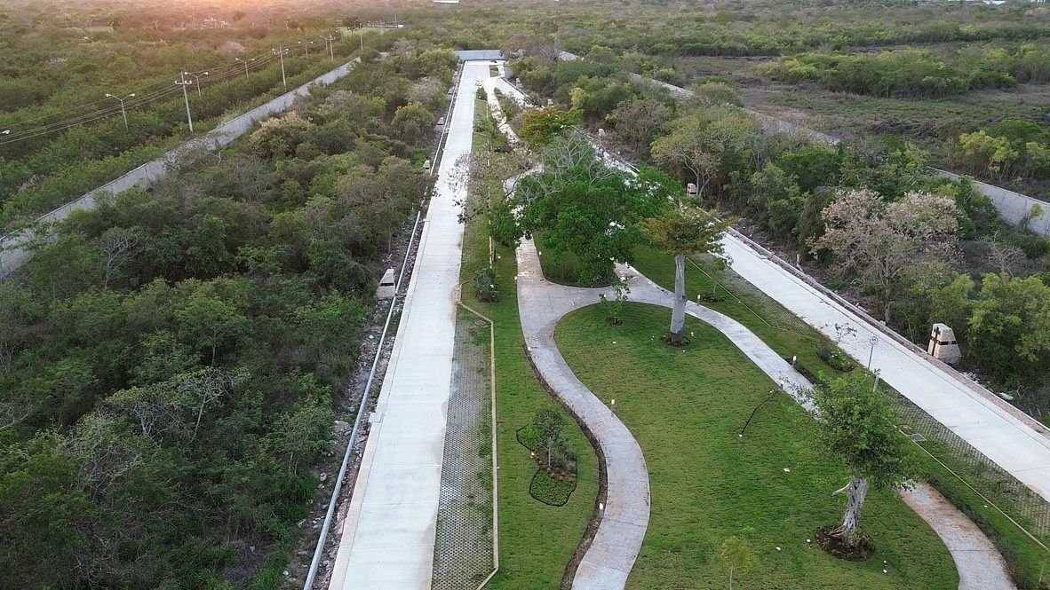 Photo 5